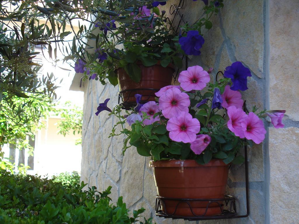 Apartments Villa Lilla Baška Voda Exterior foto